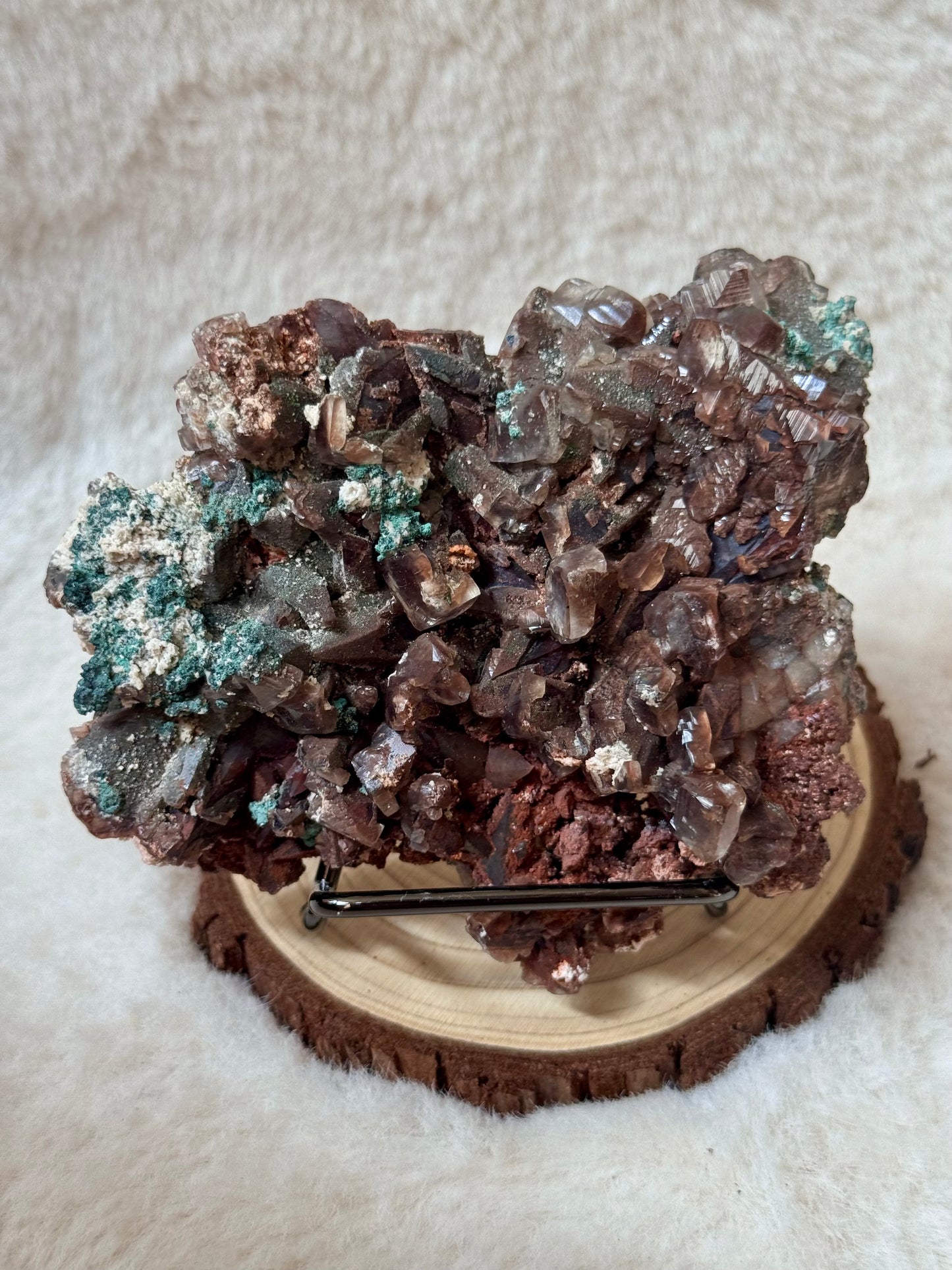 Chocolate Dogtooth Calcite specimens