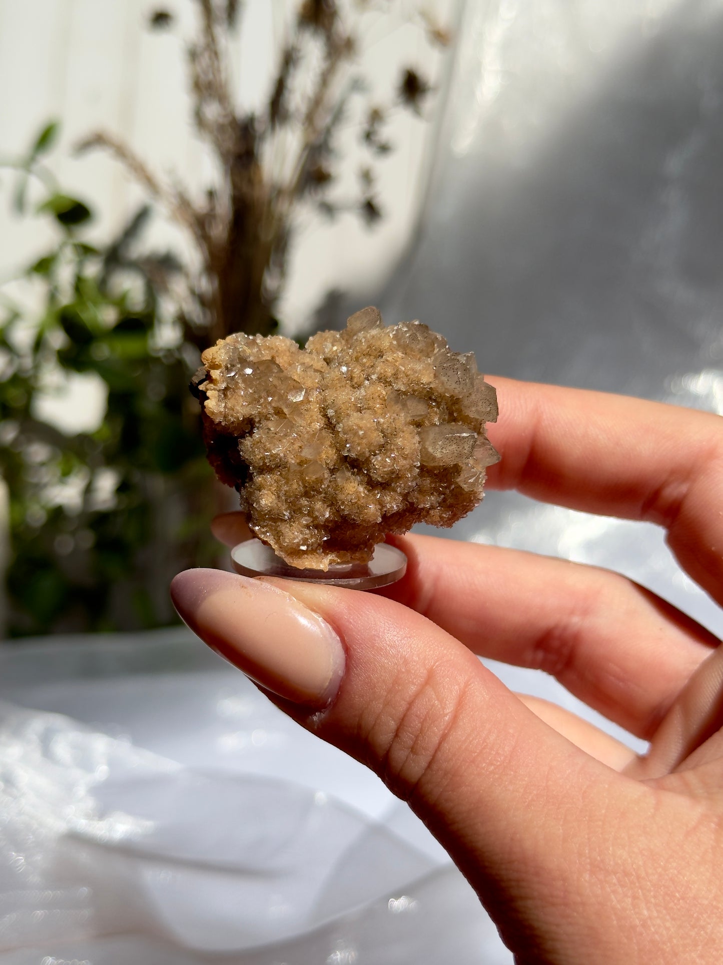 Zeolite Crystal Mix from India