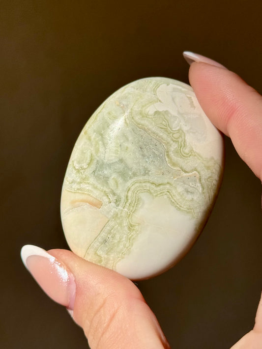 Nikki’s Palm 🍀
