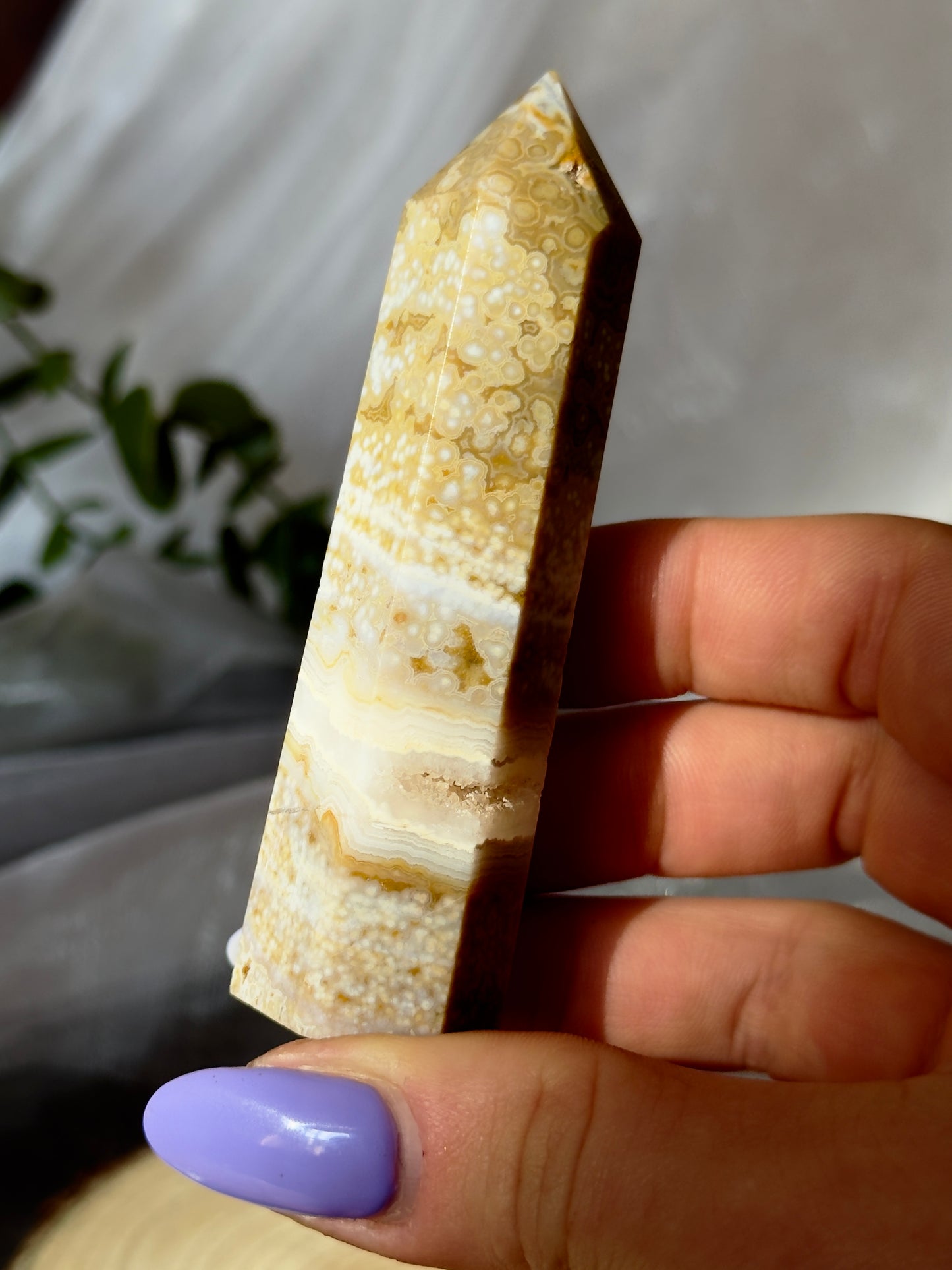 Orbicular Ocean Jasper towers