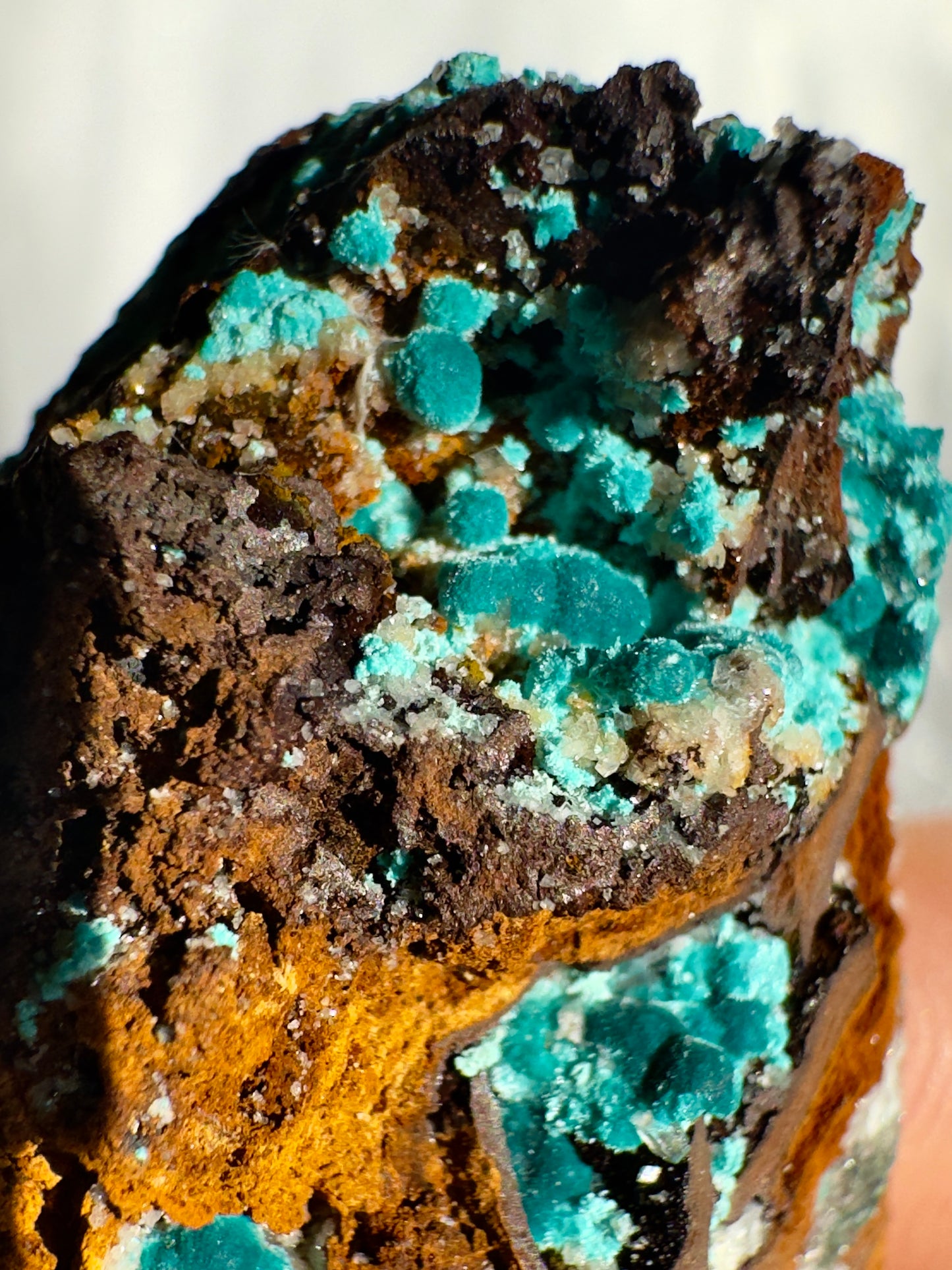 Rare Rosasite Specimens from Ojuela mine- Mexico