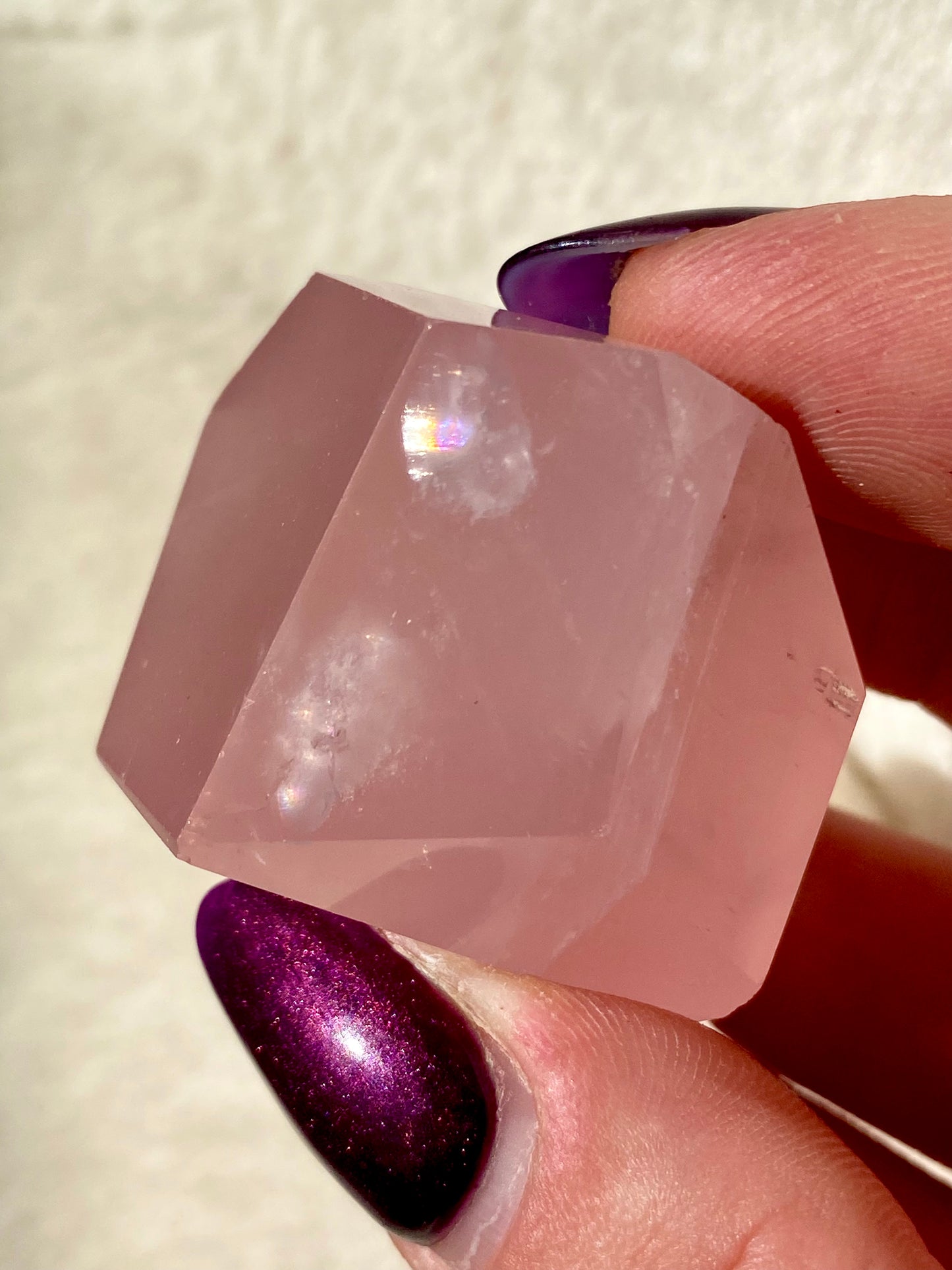 High Grade Brazilian Rose Quartz freeforms with star flash