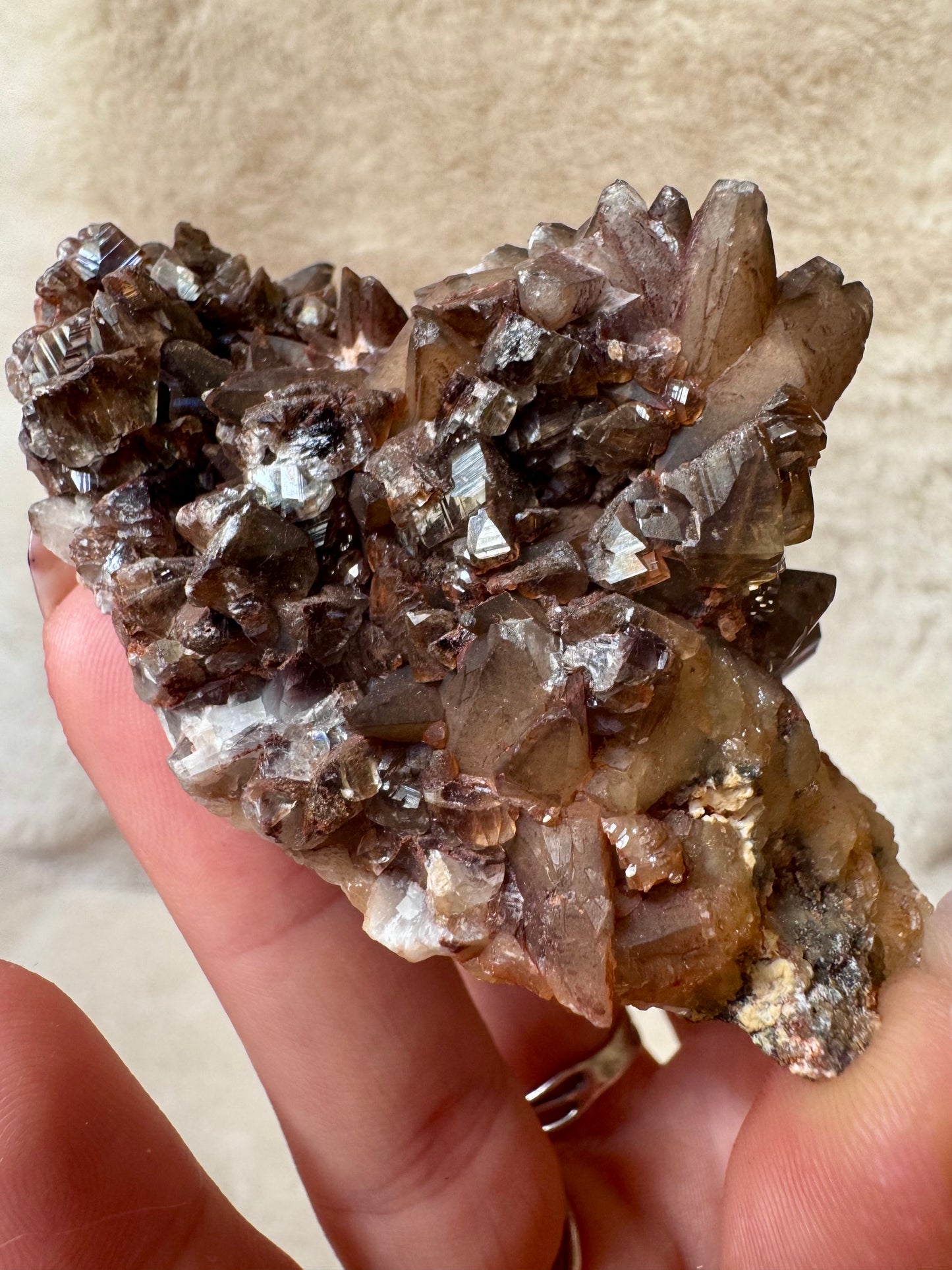 Chocolate Dogtooth Calcite specimens