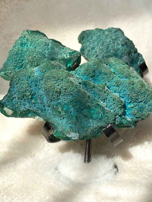 Botryoidal Chrysocolla Bubble specimens and holder