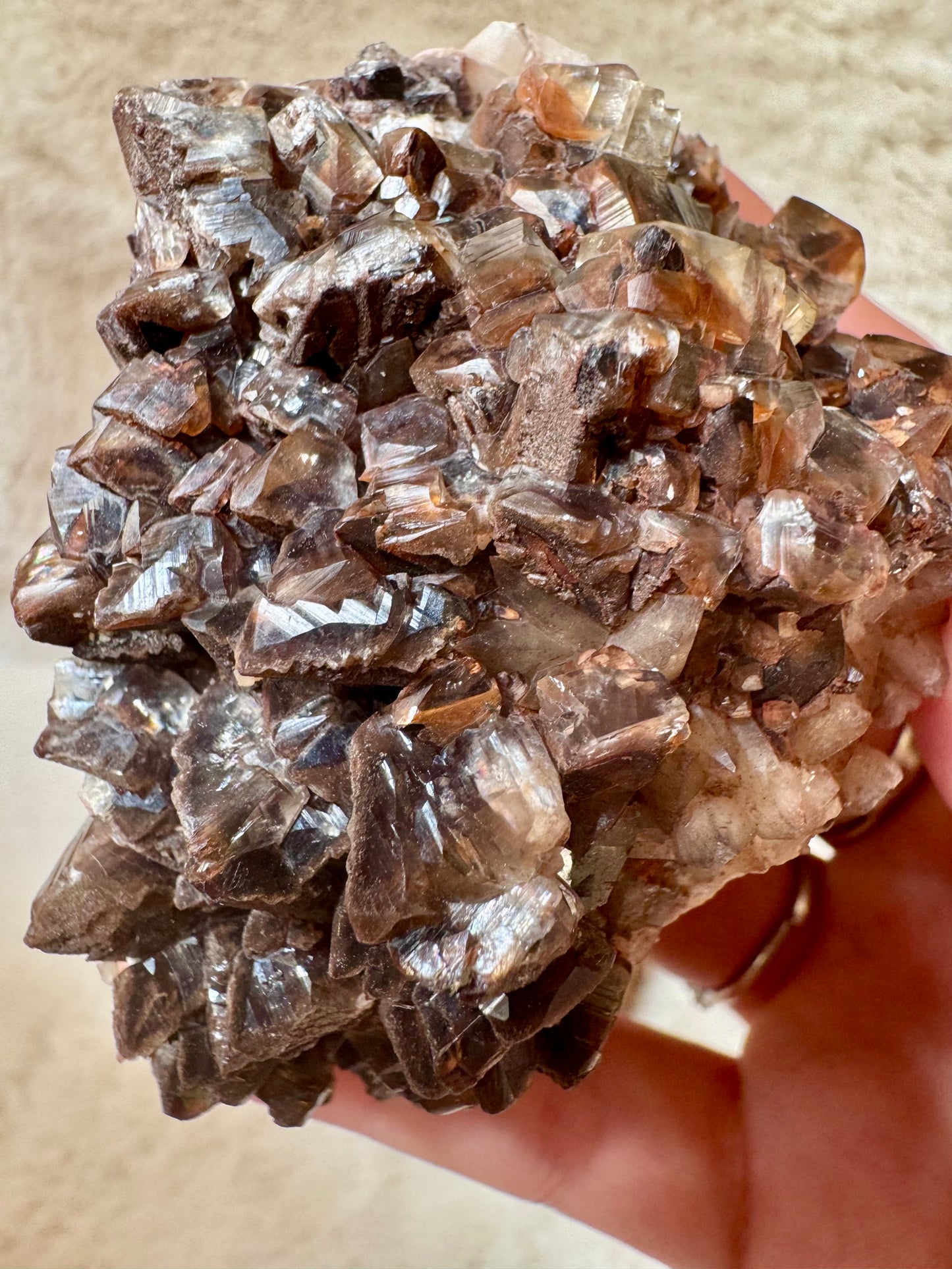 Chocolate Dogtooth Calcite specimens