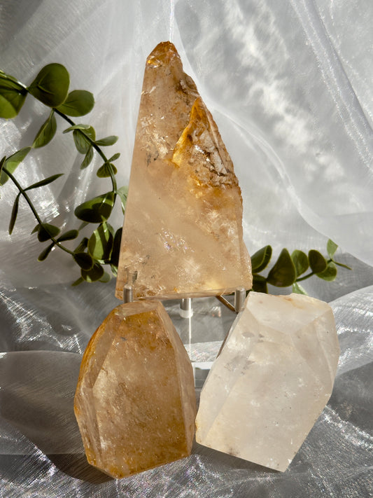 Golden Healer freeforms