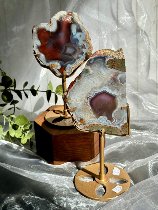 Swazi Agate slabs on stand - Mozambique