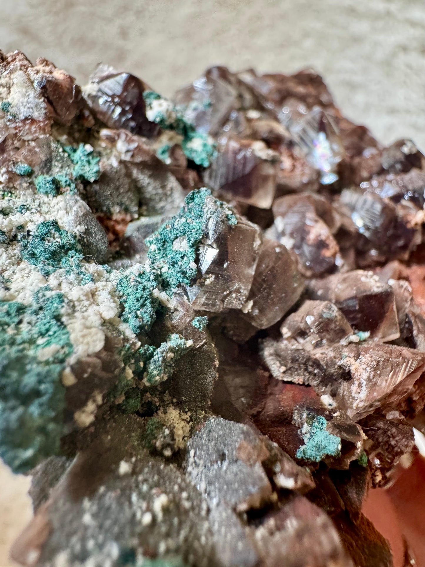 Chocolate Dogtooth Calcite specimens