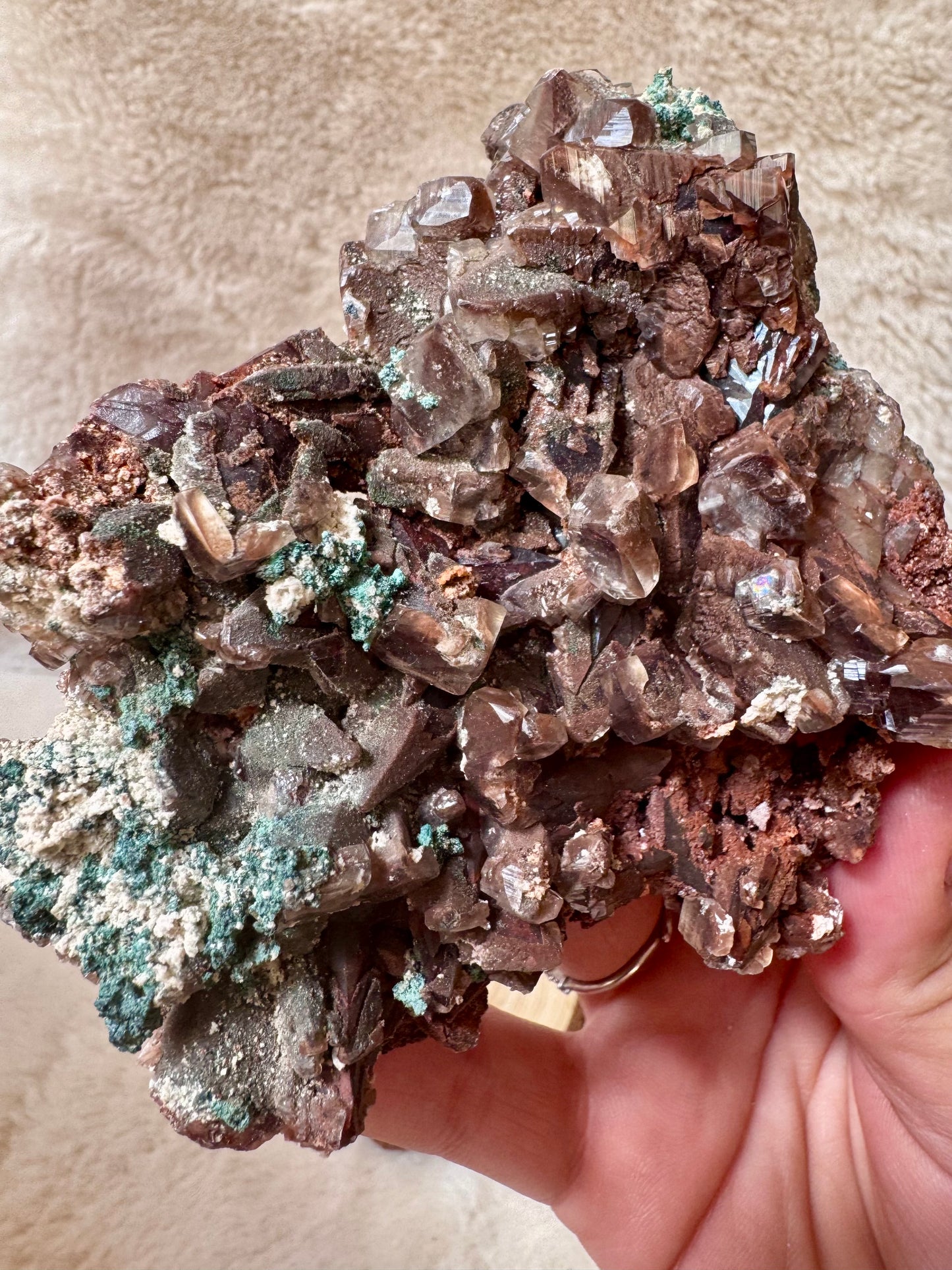 Chocolate Dogtooth Calcite specimens