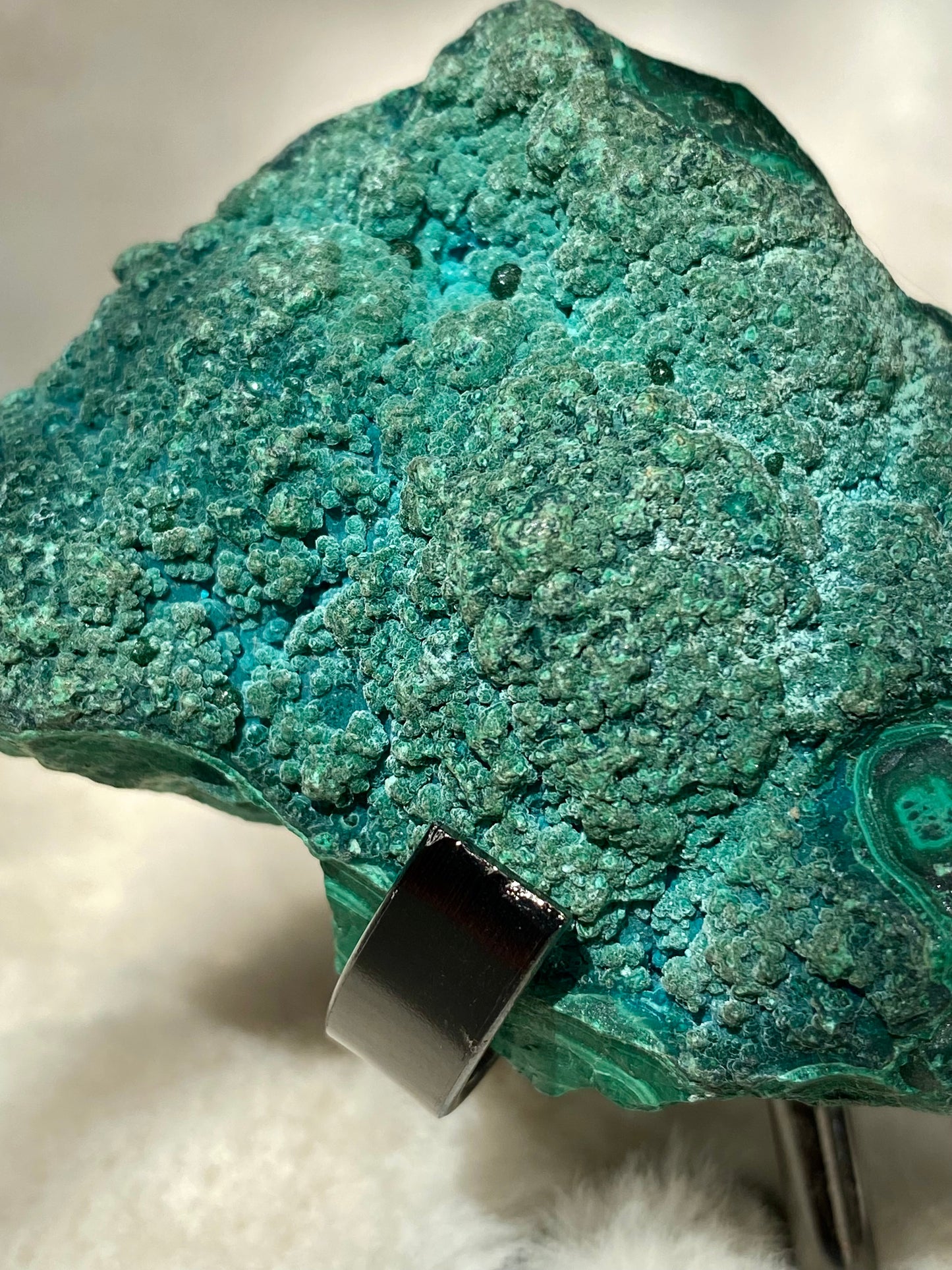 Botryoidal Chrysocolla Bubble specimens and holder