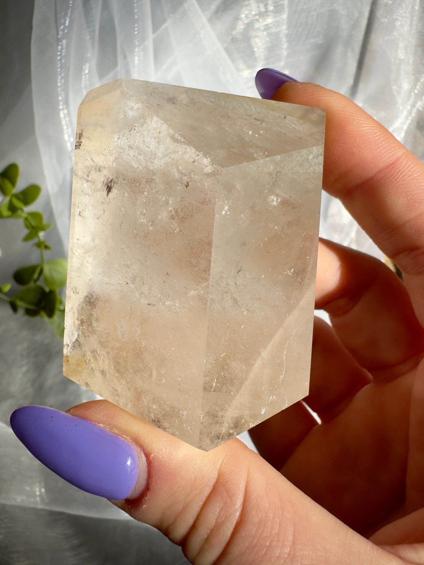 Golden Healer freeforms