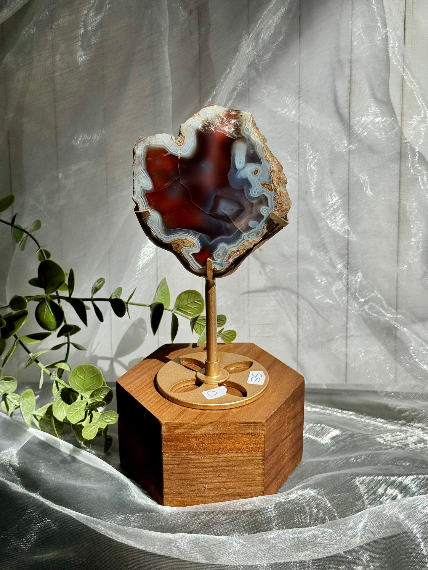 Swazi Agate slabs on stand - Mozambique