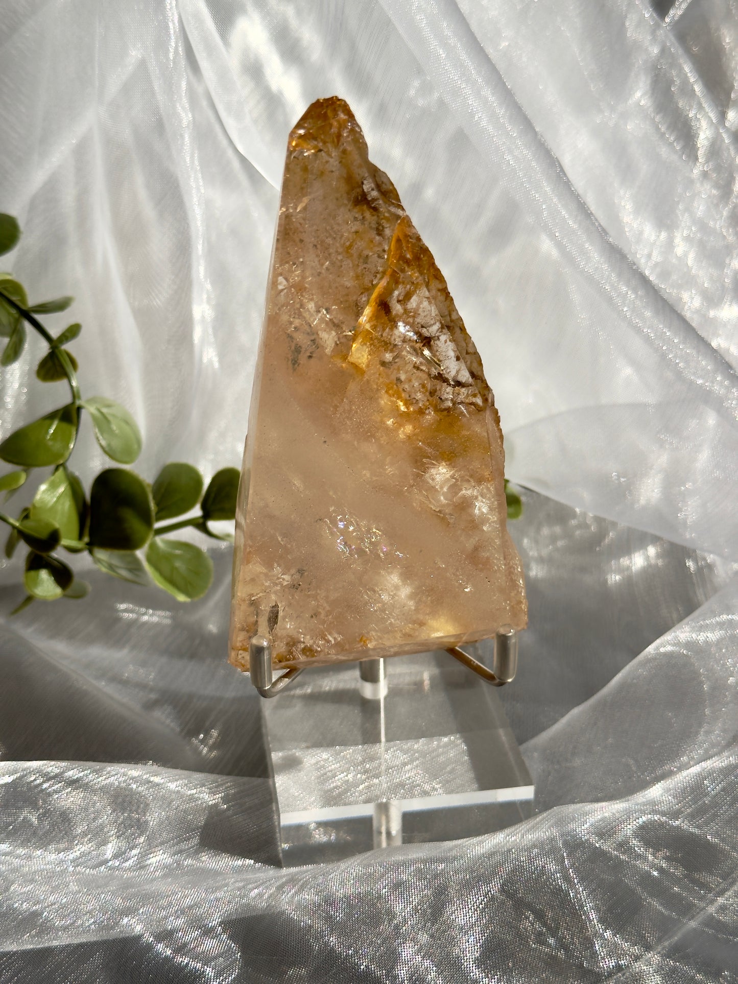 Golden Healer freeforms