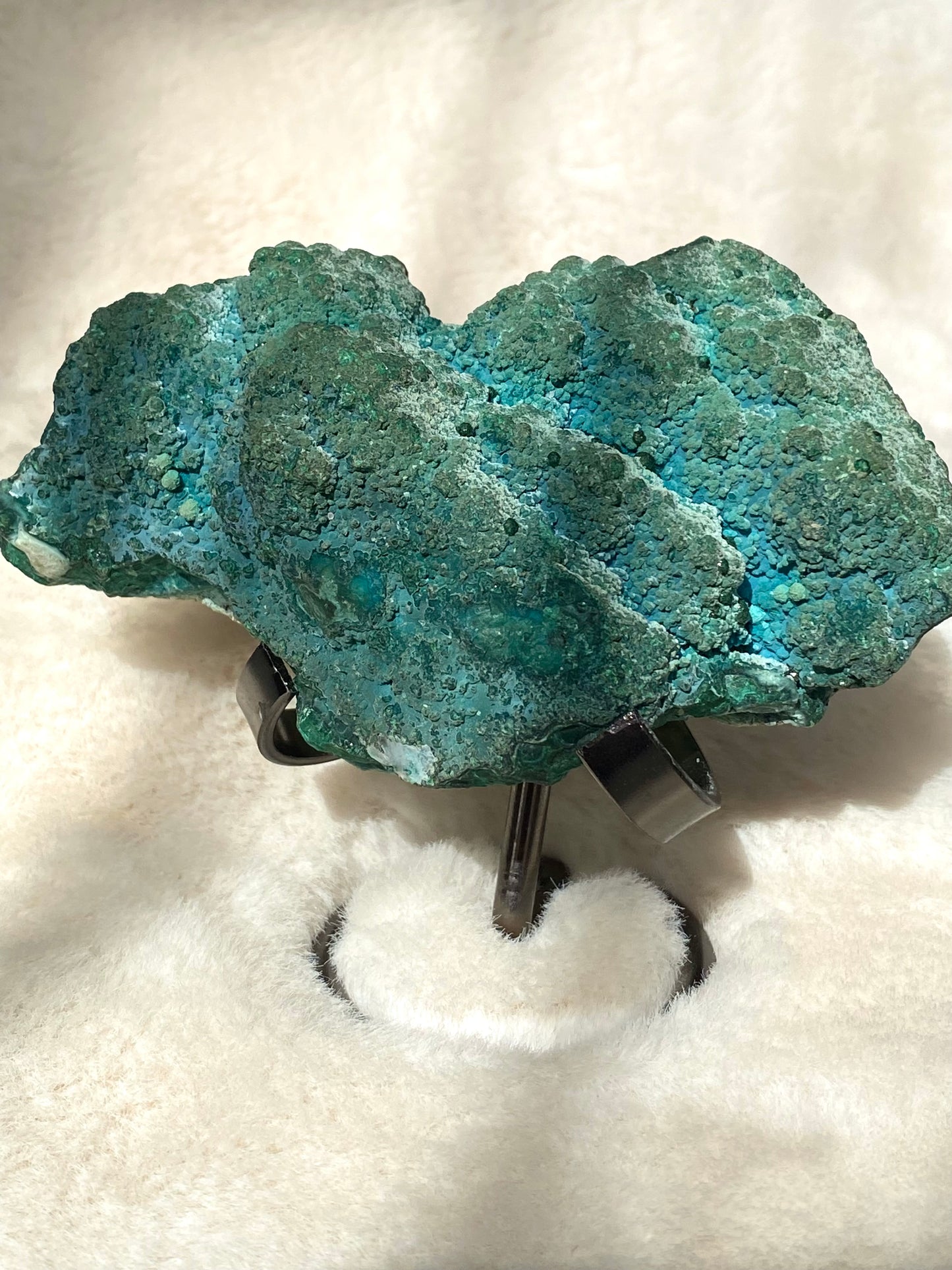 Botryoidal Chrysocolla Bubble specimens and holder