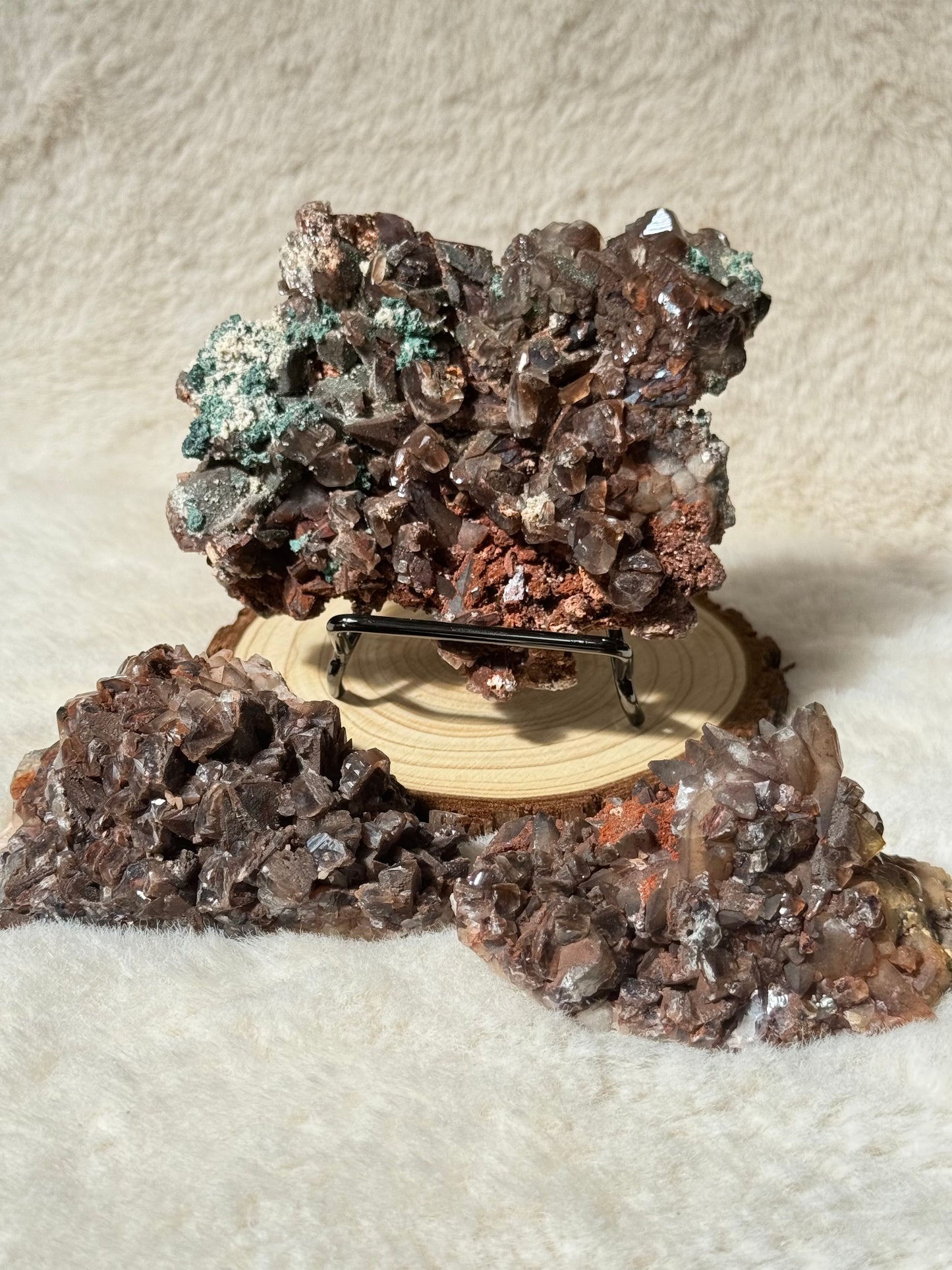 Chocolate Dogtooth Calcite specimens