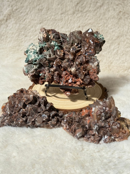 Chocolate Dogtooth Calcite specimens