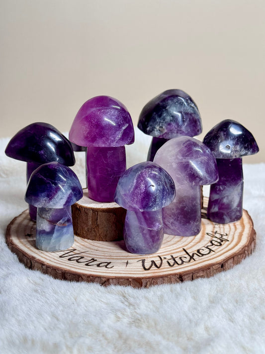 Fluorite Mushrooms